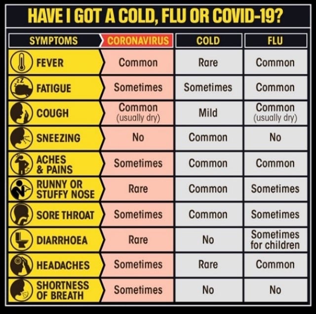 Coronavirus Symptoms Is it a cold flu or covid